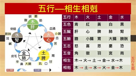 五行相生相剋 顏色|五行